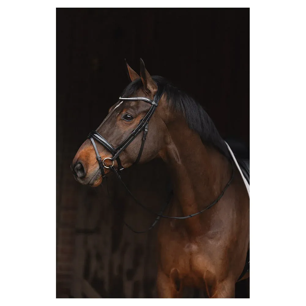 Bridon ANKY Metallic Patent – Image 4