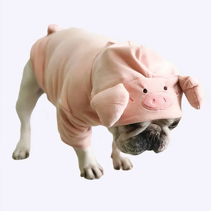 Costume en forme cochon pour chien