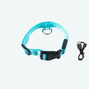 Collier à LED rechargeable par câble USB pour chien