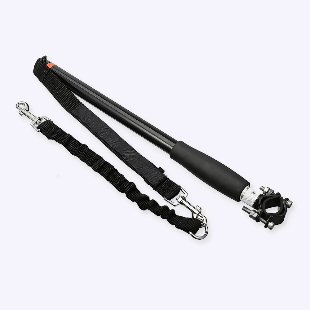 Laisse de vélo élastique pour chien