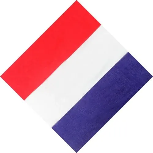 Bandana Bleu Blanc Rouge | RoyalBandana